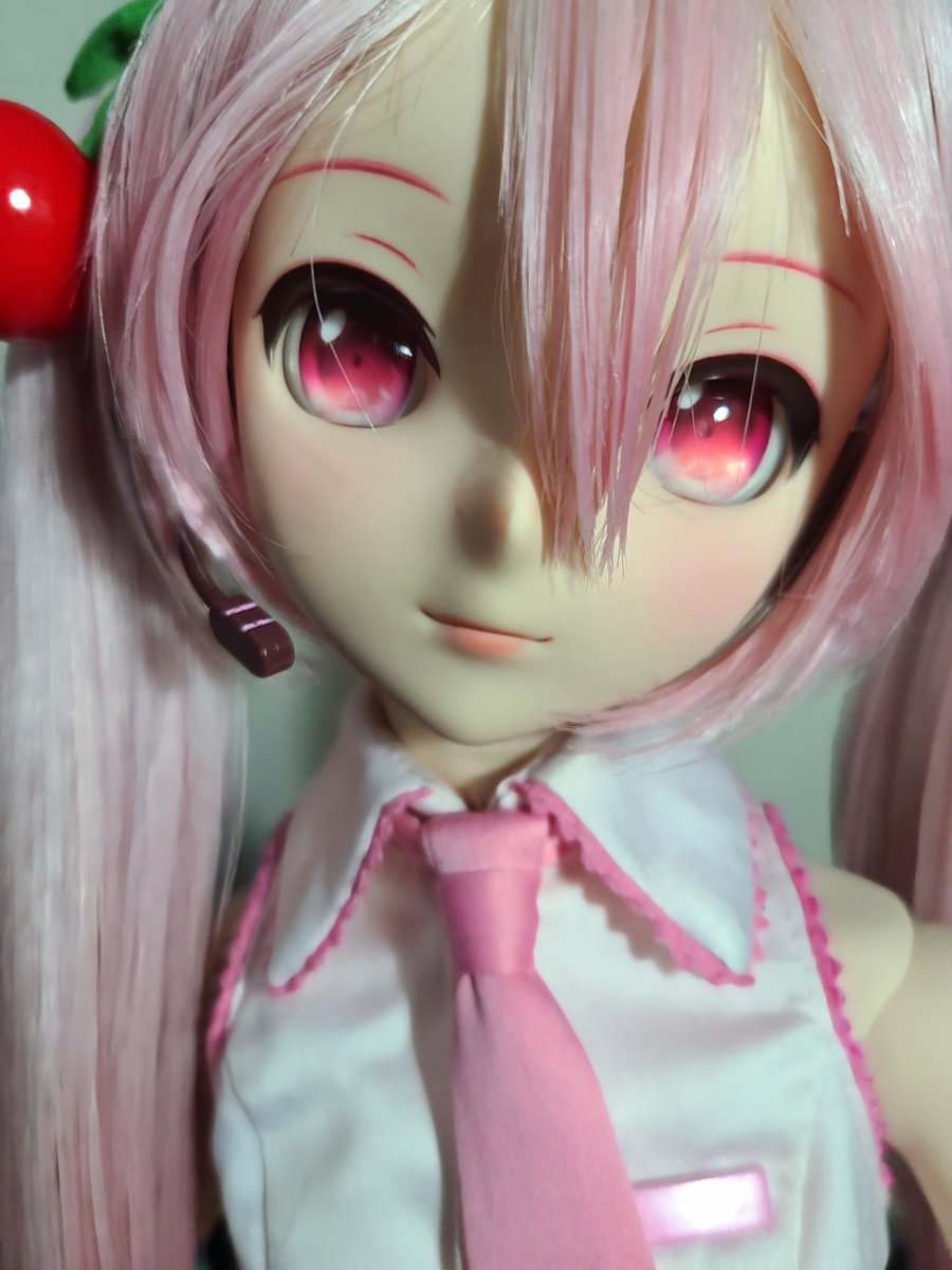 PuddingHimeSama's tweet photo. おはばんはんミク!
桜ミクちゃん可愛い、以上です!🌸🥰

#うちのこかわいい https://t.co/bceUbcRZPO