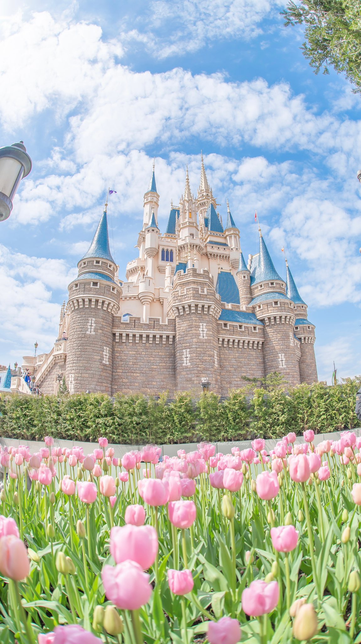 Kah05disney Twitter