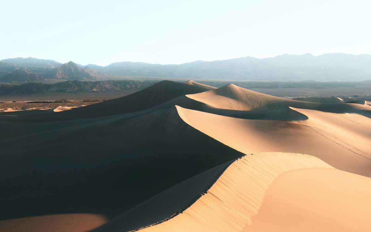 Morgan Phillips tweet media