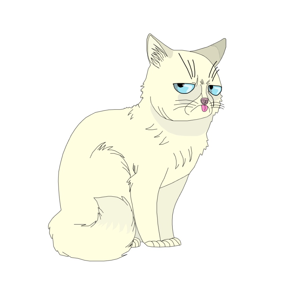 cryptoandgrumpy's tweet photo. What are you looking hooman??? https://t.co/wOl0XF2JMC