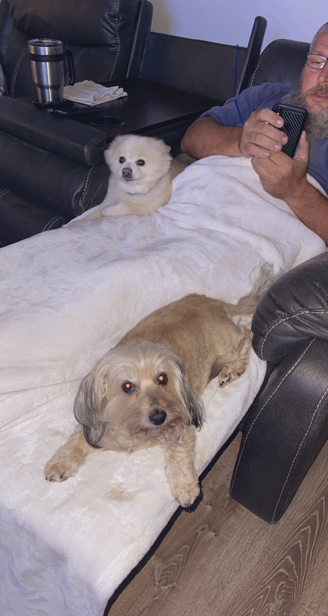 lilsigh's tweet photo. me, Cub, and pops miss you so much sweet girl ☹️ https://t.co/TVz1VWeGDp
