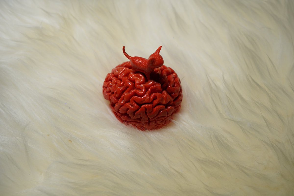VioletZhou17's tweet photo. Got my brain 3D printed 🤩🤩so excited! https://t.co/r8rETQAaYJ