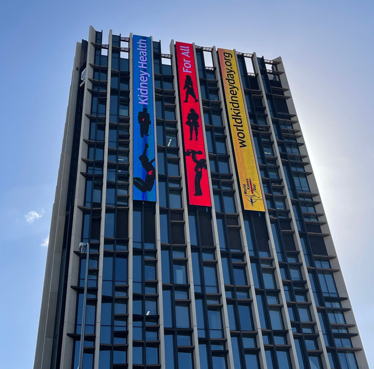 🔔Today it's World Kidney Day! Take a look at what 
<a href="/UniversitySA/">UniSA (this account is no longer active)</a> shared on their LED screen in honor of this very special day.