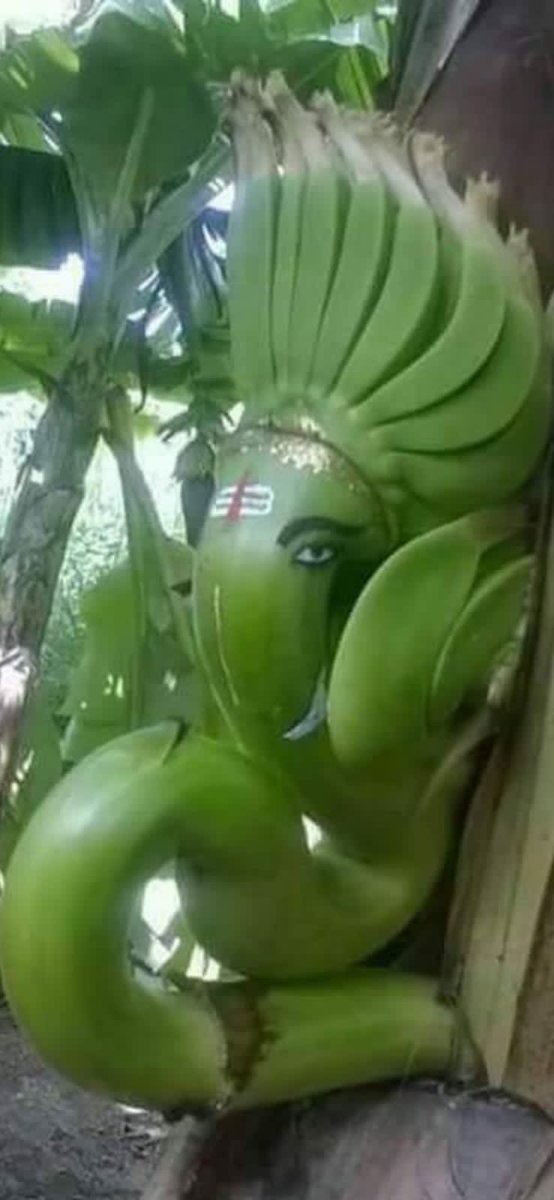 harshuthelegend's tweet photo. प्रकृत भी मेरे गणेश का अभिनंदन करती हैं  !!

🙏🙏🙏
#ganesh #GaneshRewind
#Bapuji #GaneOPierdaPetroEsUnPeligro
#GangGang https://t.co/tJgFUmDpXJ