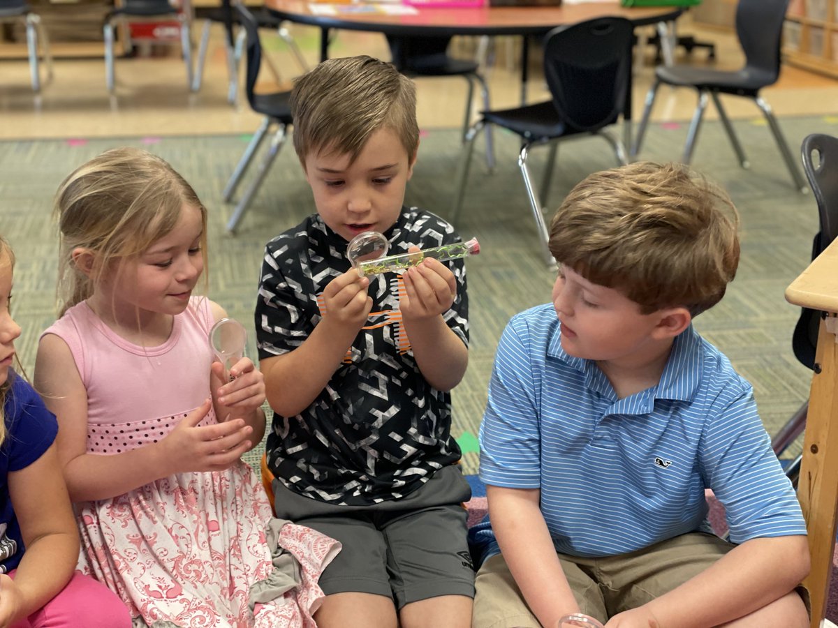 beccalong21's tweet photo. Ladybug larva arrived today. Such excited children. ⁦@TCESLeadTeacher⁩ ⁦@tegacaytitans⁩ ⁦@brigitteawagner⁩ ⁦@LisaLHLucas⁩ ⁦@TegaAp⁩ https://t.co/UFfyFPr2F3