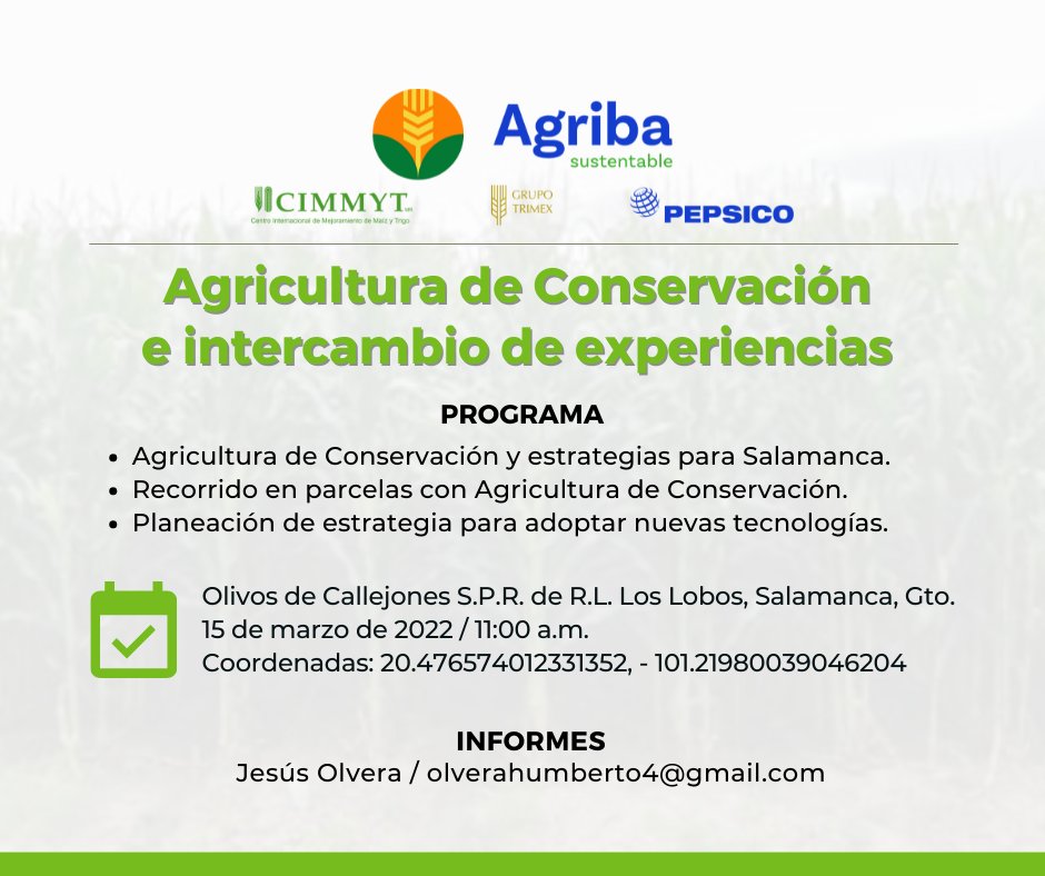 ACCIMMYT's tweet photo. #AgribaSustentable | En Salamanca, Guanajuato, compartiremos experiencias y estrategias para la implementación exitosa de la Agricultura de Conservación en la producción de trigo.

🗓️ 15 de marzo de 2022
🕚 11:00 a.m.

Informes: olverahumberto4@gmail.com

#GrupoTrimex
@PepsiCoMex https://t.co/Vj7boEHLX0