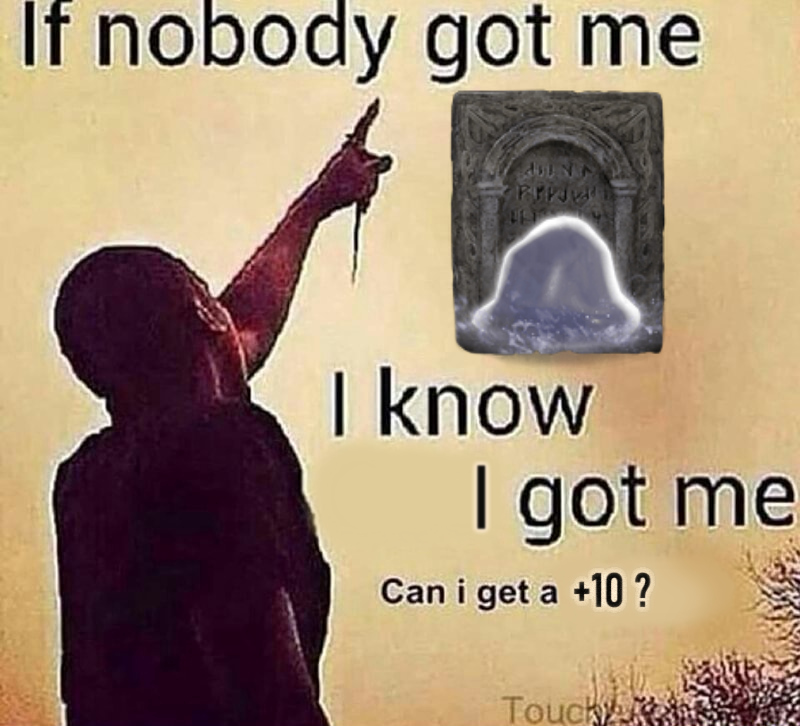 I beat Elden Ring all by myself 😏