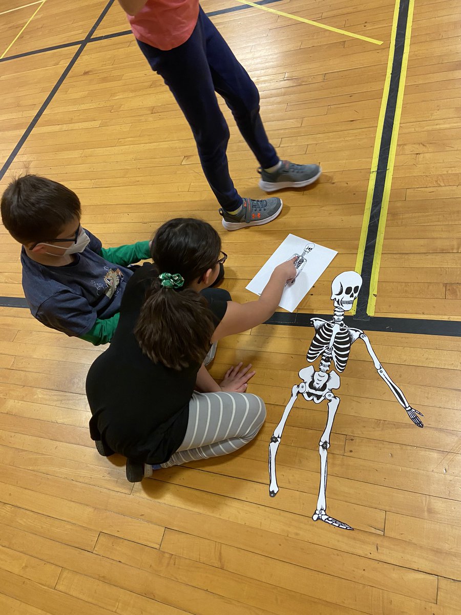 ms_way5's tweet photo. This week we are spending some time learning about body systems. Today we had a skeleton relay race and learned ways to keep our bones healthy. https://t.co/4YlXwTM4dx