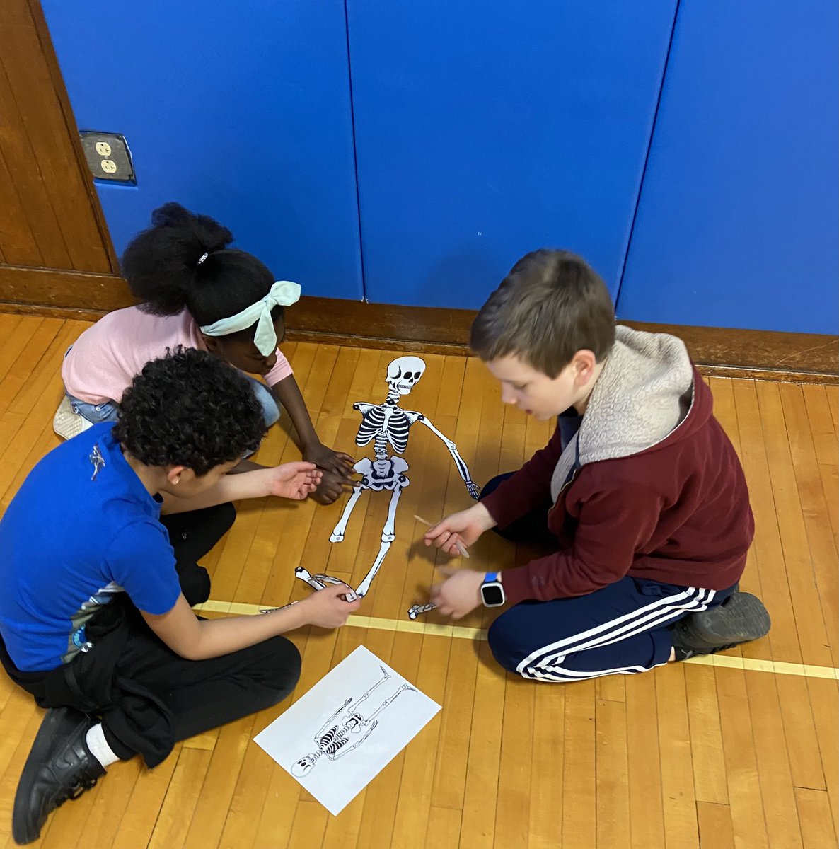 ms_way5's tweet photo. This week we are spending some time learning about body systems. Today we had a skeleton relay race and learned ways to keep our bones healthy. https://t.co/4YlXwTM4dx