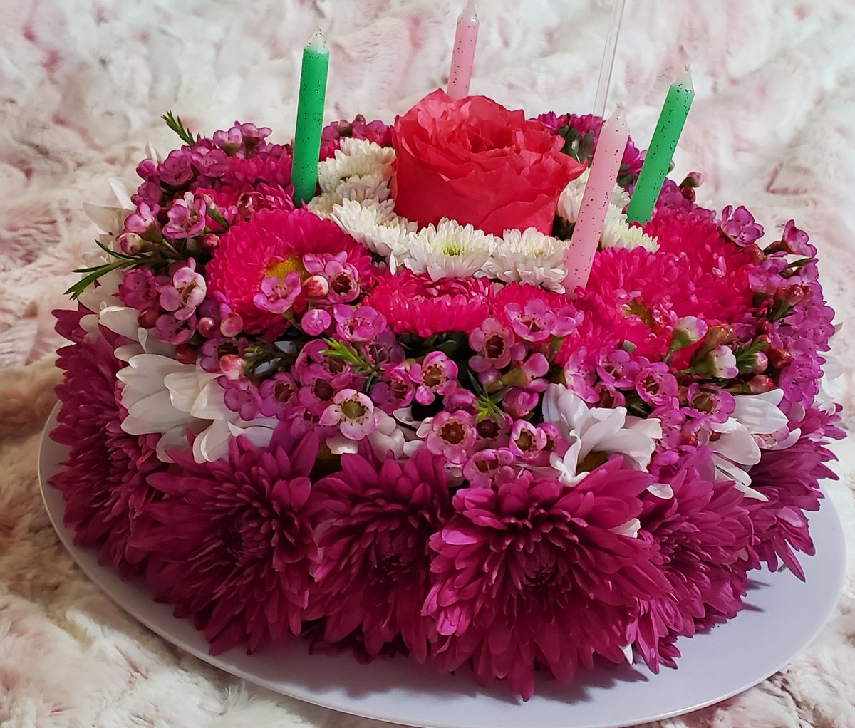 Vicky Kramer tweet media