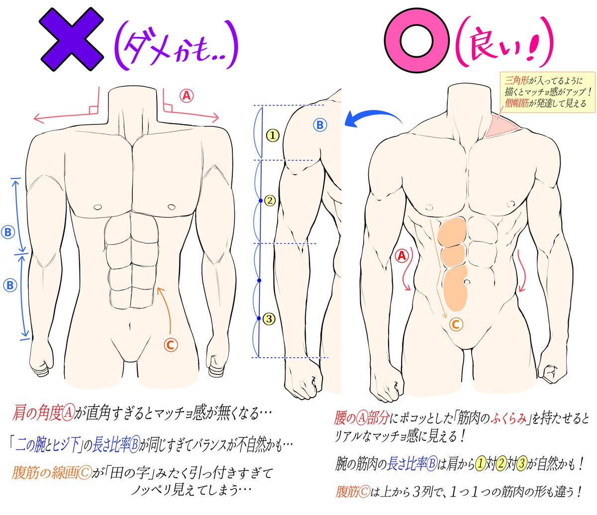 男性の筋肉ボディを描くときの比率講座

「下手に見えやすい例❌」

「上手に見えやすい例⭕️」 