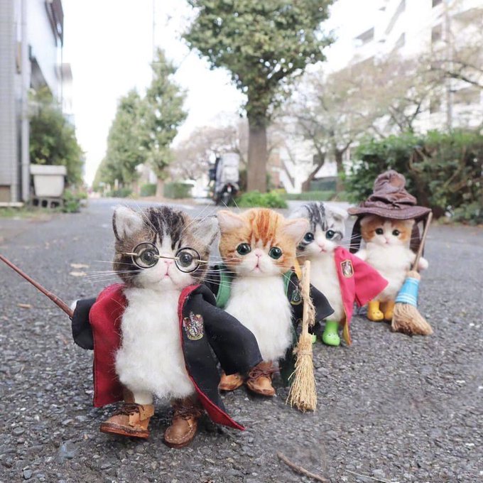 Hogwartssite's tweet image. No digas nada, solo haz RT.