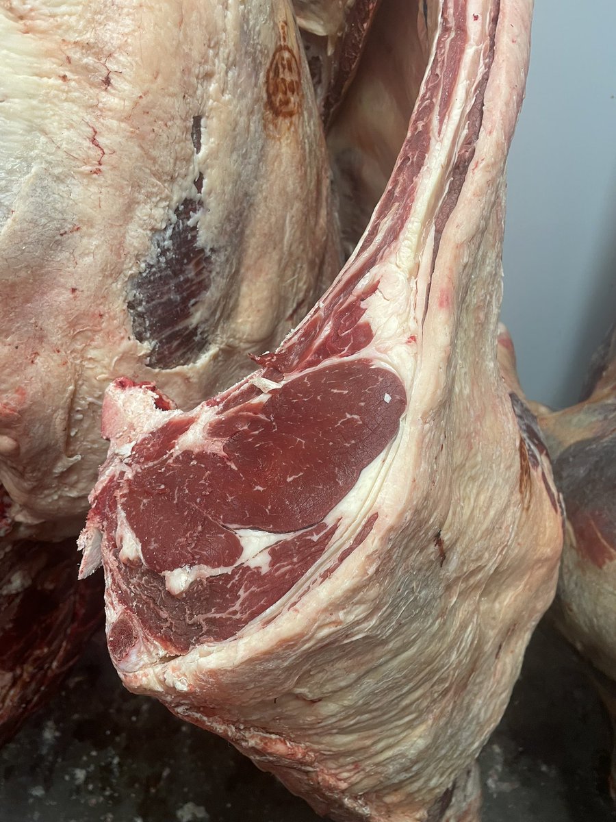 Hereford beef through this week and some stunning pigs, next week more Oxford Sandy black and Aberdeen Angus 😍 #sussex #highwelfare #meat