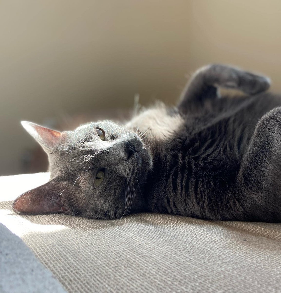 Lucas Hemenway tweet media