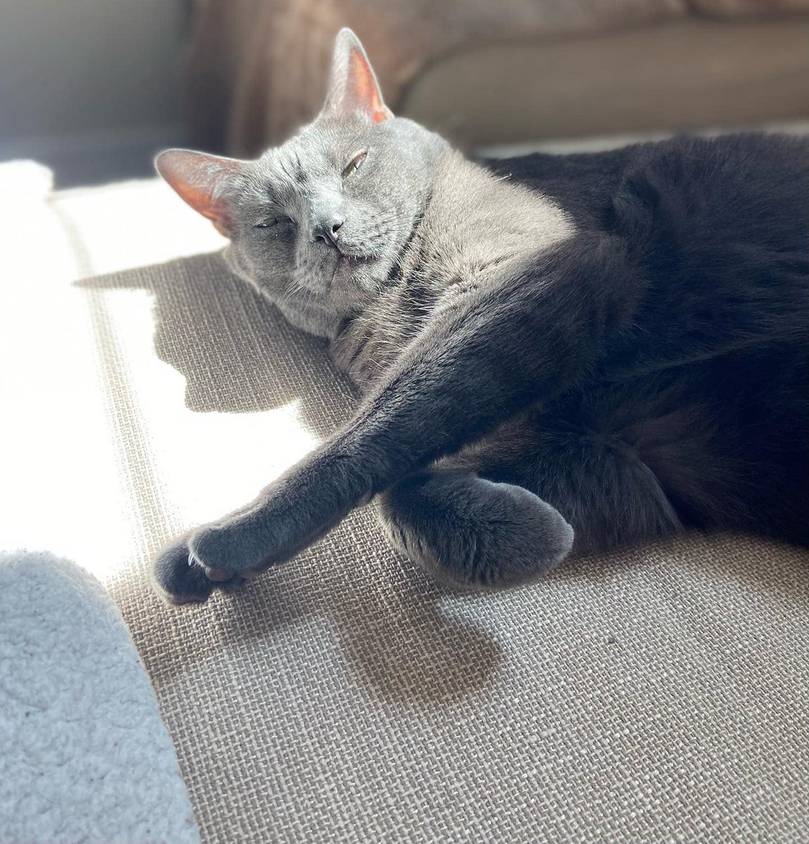 Lucas Hemenway tweet media