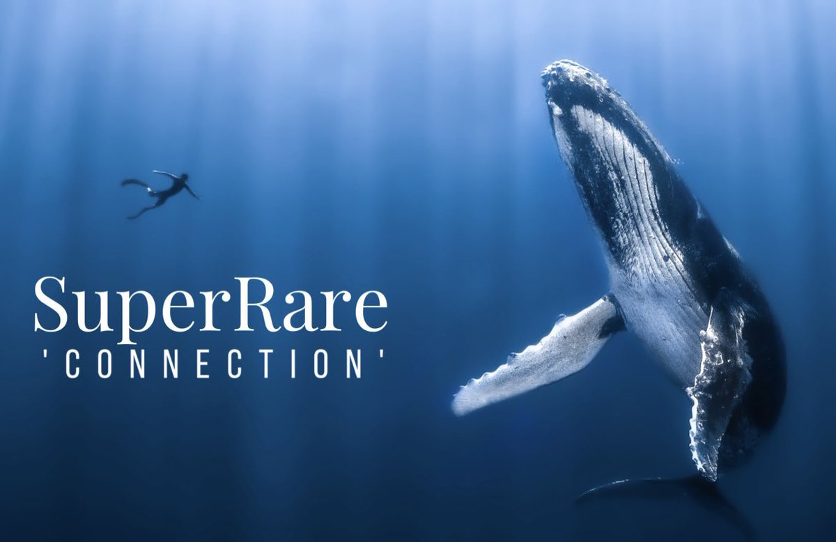 Now on <a href="/SuperRare/">SuperRare</a> 🐋💎 
They say that we came from the ocean, that all life started there. In this moment we were reminded of this truth. That pieces of our origin are still recognizing each other no matter how far apart they have wandered between then and now. 
(Link below ⏬)