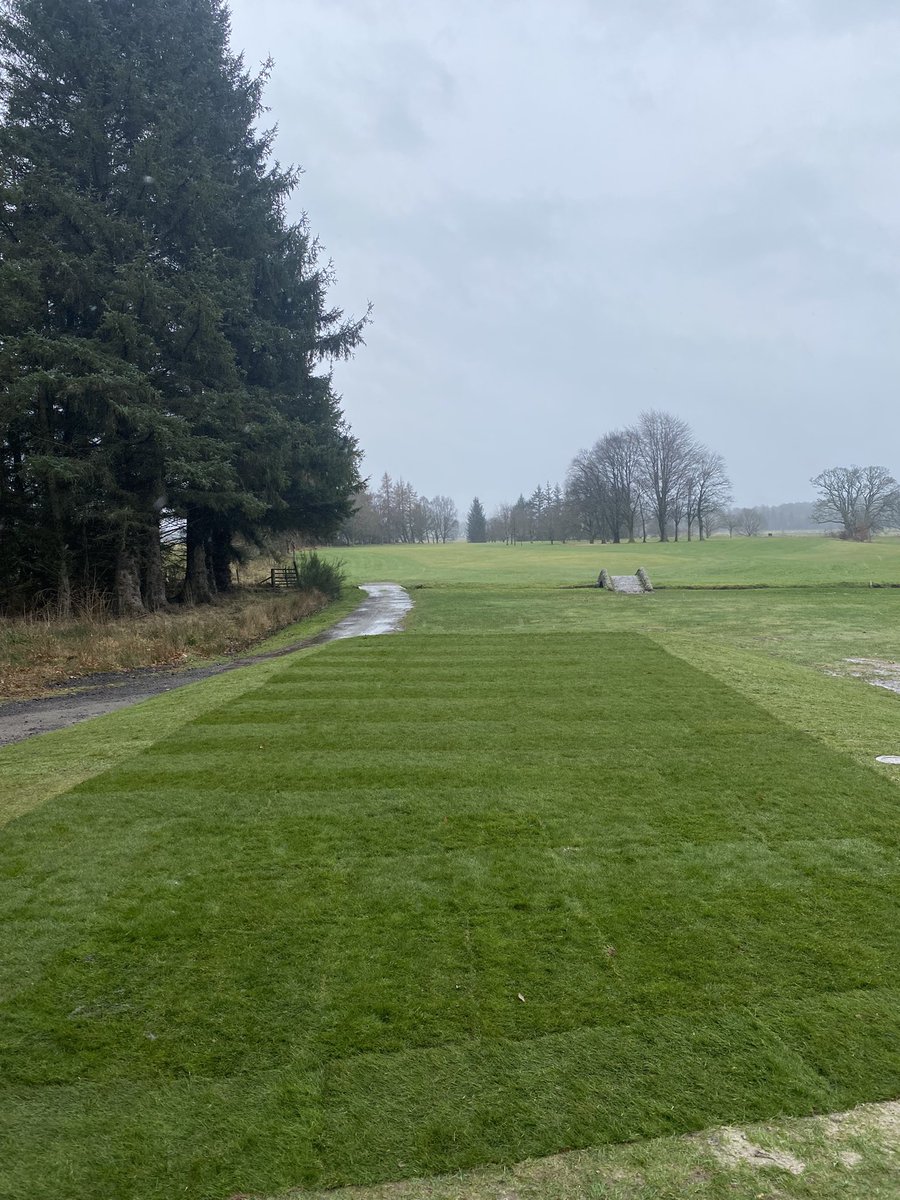 New 14th tee just about complete 👌🏻