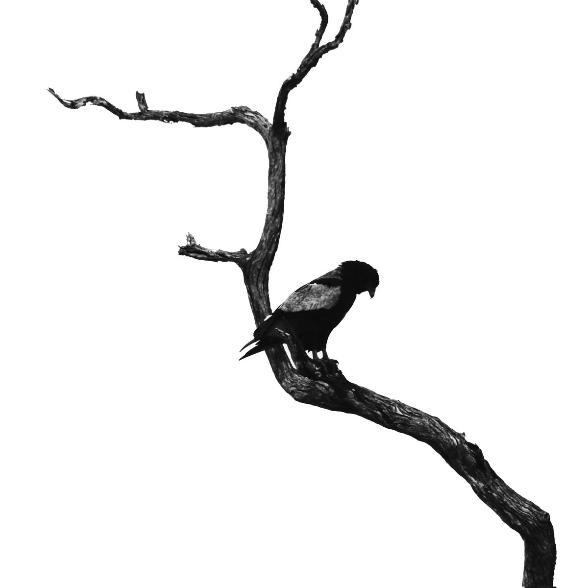 New song out now on all streaming services 🤟 Fljúgum hærra.
Check it out! open.spotify.com/track/37favfQY…
.
.
.
#spotify #newmusic #rockmusic #icelandicmusic #chernobyljazzclub