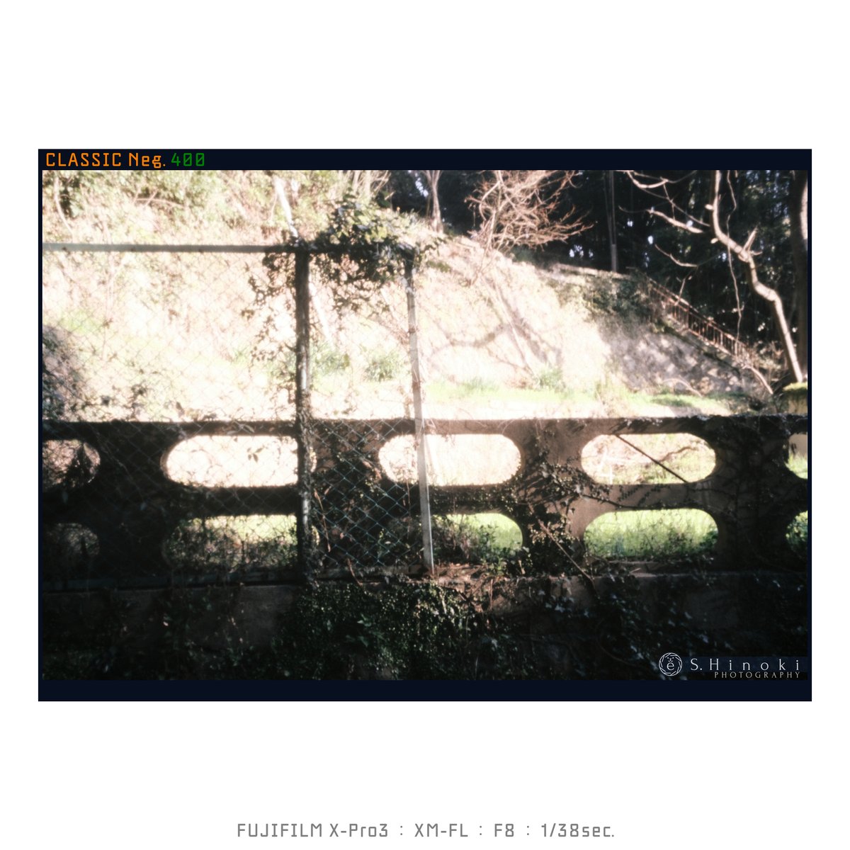 euclid890's tweet photo. 写ルンでスタイル
FUJIFILM X-Pro3
XM-FL
#FUJIFILM_XSeries #XPro3 #XMFL #ClassicNeg #Lofigrapher #Snapshooter https://t.co/JZHi5GBMNQ