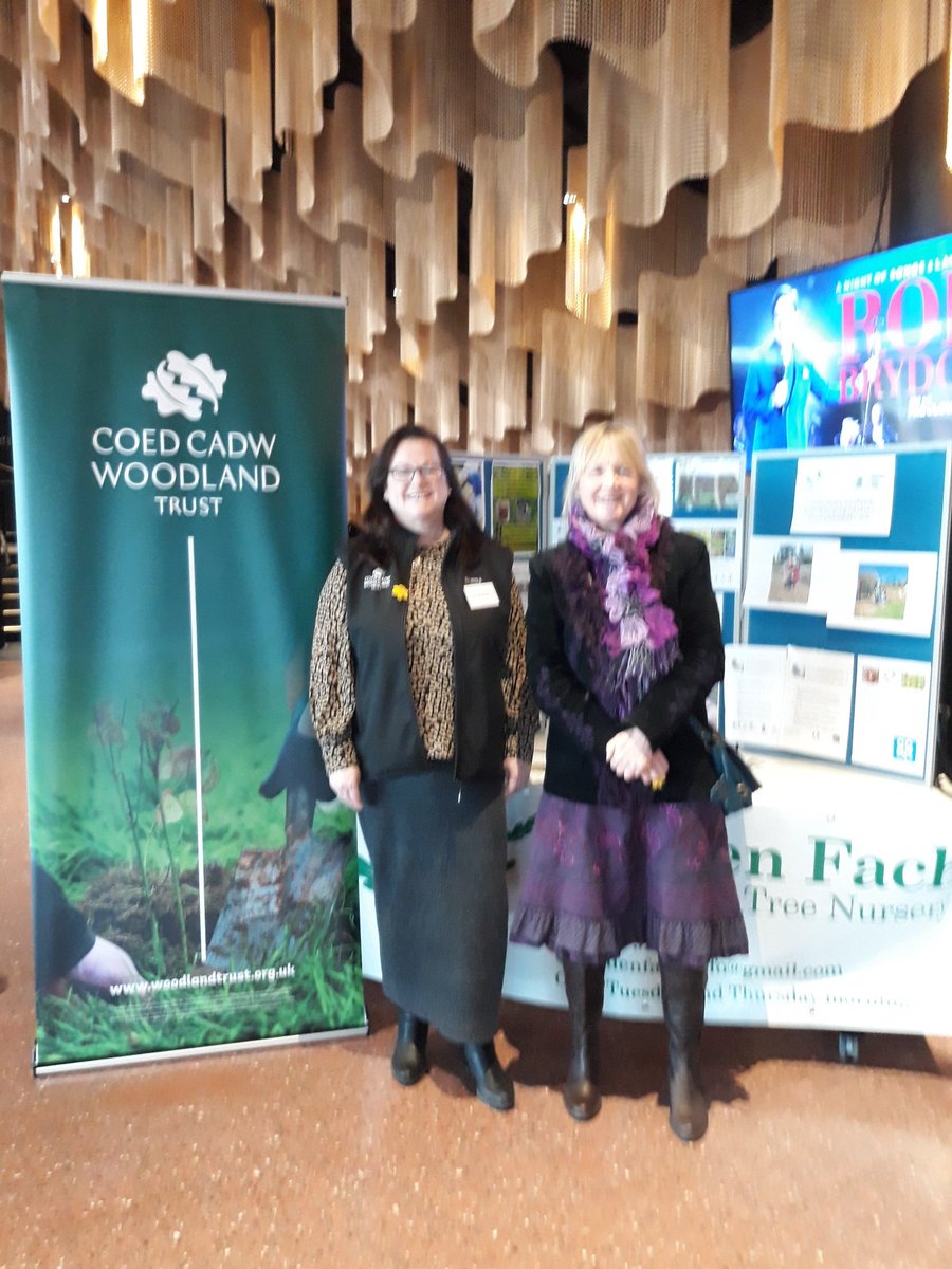 NatalieButtriss's tweet photo. Enjoyed meeting Countess of Wessex today for @SwanseaCouncil  @QGCanopy city champion award, in the 'tree group' with @CoedenFachTrees @Penllergare @SwanseaUni tree society https://t.co/NEx3OaDPON