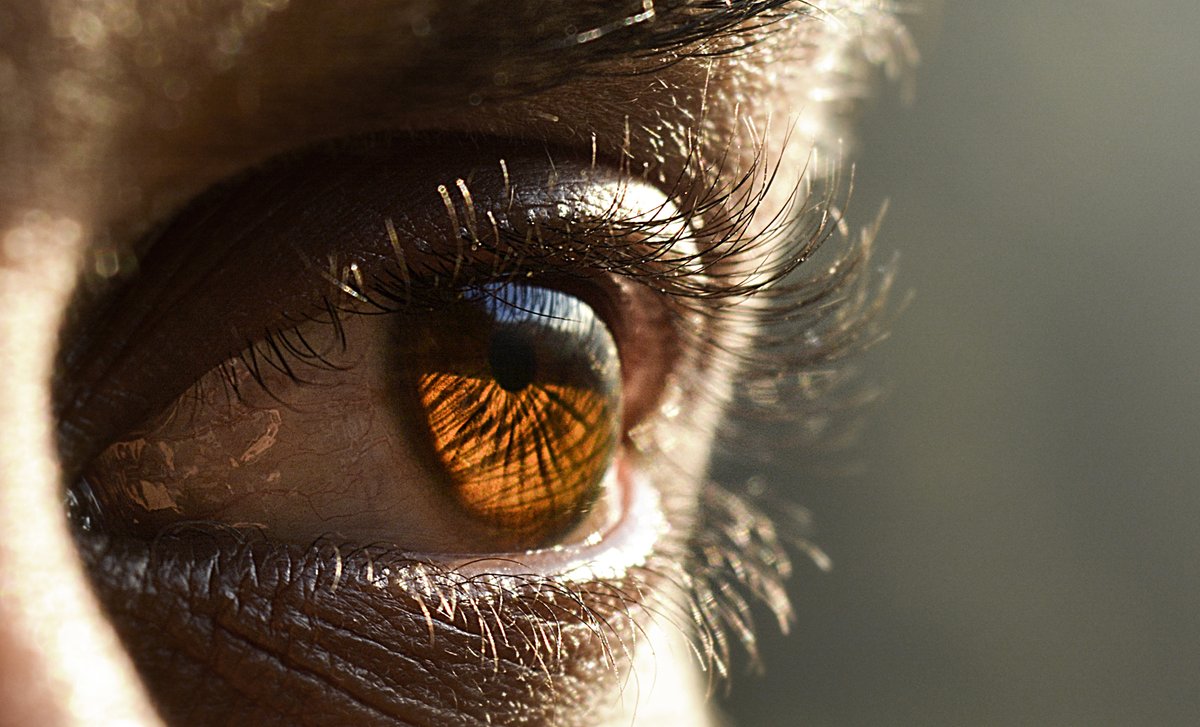 Eye_Institute's tweet image. As you know, the pandemic has negatively impacted glaucoma care. For World Glaucoma Week, The World Glaucoma Association has released a short guide that may be useful for your patients: 'A Patient's Guide to Caring for their Glaucoma During a Pandemic'. worldglaucomaweek.org/for-the-media/