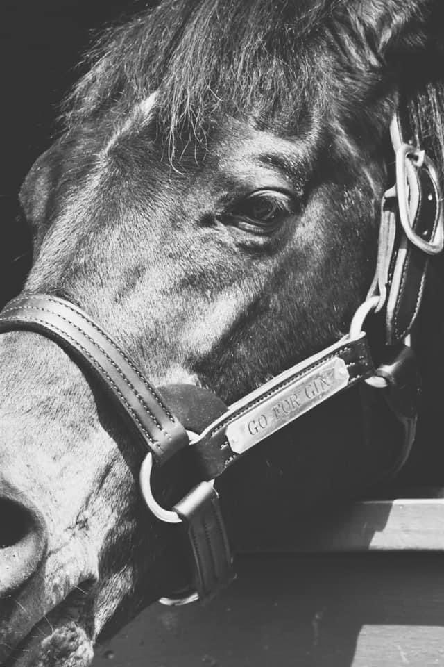 ChristinaZurick's tweet photo. RIP to a legend ❤️ #GoforGin https://t.co/g7RHlL2hdY