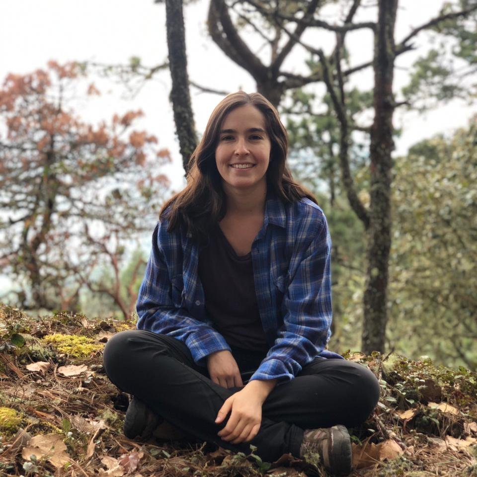 Biología Integrativa Cinvestav tweet media