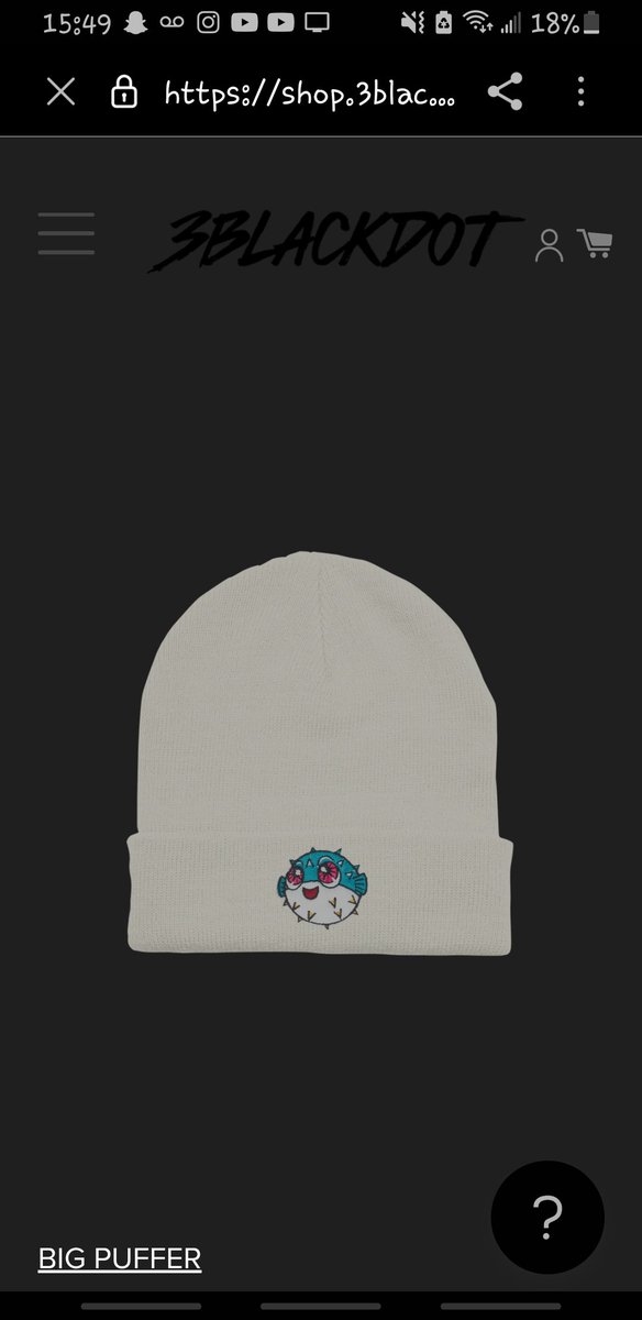 RoseIsAbadB's tweet photo. Just bought the new puffer beanie https://t.co/03FyD73SOE
