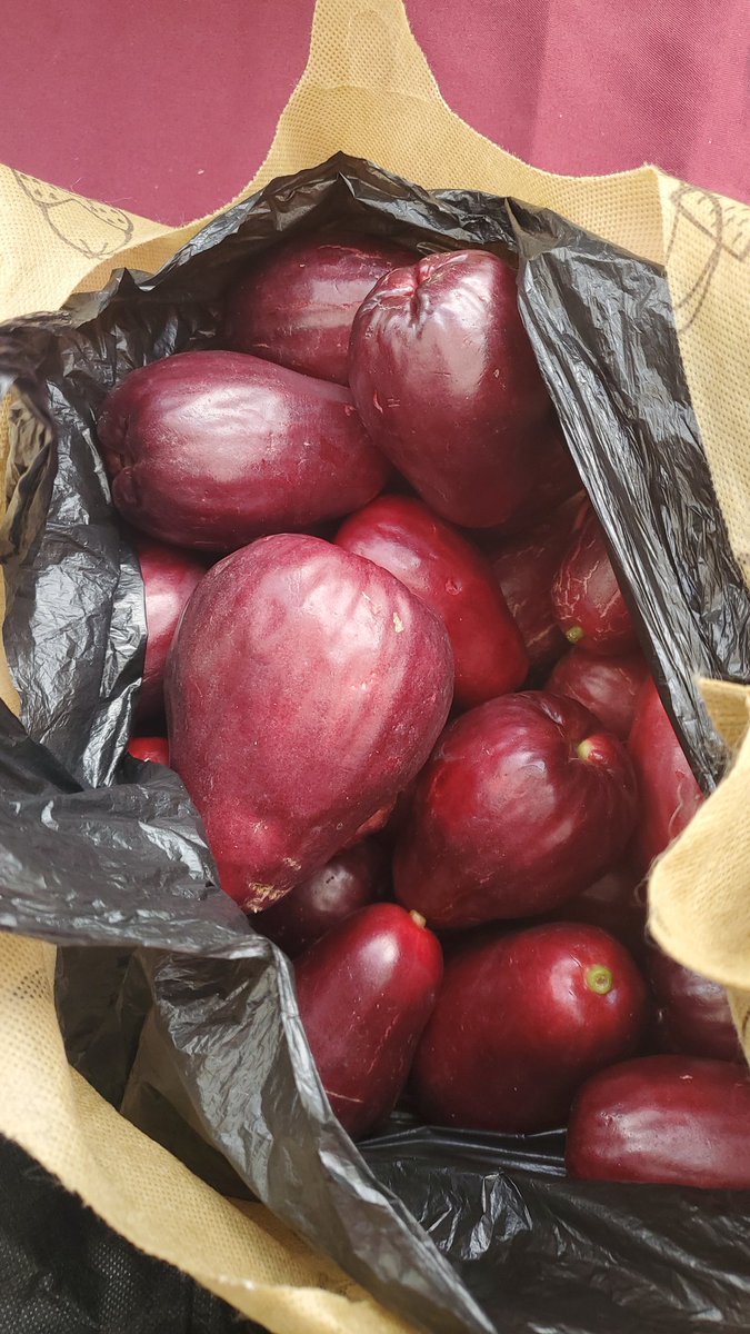 Okay. Me in Bethel Town fi a likkle while. Send me a telegram if you need me. Lol