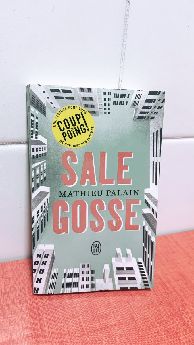 Bon, je vais me lancer dans ce livre de @MatPalain . Son premier d’ailleurs. J’ai découvert l’auteur avec #netarretepasdecourir , son deuxième livre, que j’avais beaucoup aimé. 

#salegosse @Editions_Jailu