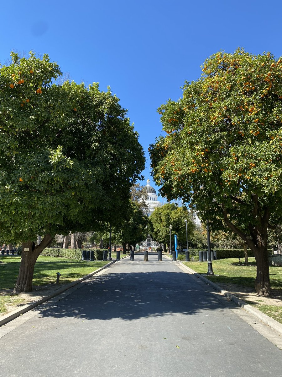 CalSPRA's tweet photo. We have officially kicked off #CalSPRA2022 with our pre-conference PR Boot Camp! Early registration is on the second floor and is open from 3:30-5:30 p.m. today! We can’t wait to see everyone! 🤩💙 
#schoolpr #suptchat #Communication #Sacramento https://t.co/nVOvuqFozf