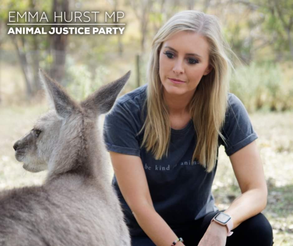 Bashing in the heads of joeys is a terrible price to pay for  shoes. #nikekangaroomassacre

Those who buy or sell Kangaroo leather can't escape the simple fact: the killing industry is industrialised,legalised animal abuse.
<a href="/MlcHurst/">Emma Hurst</a>
GLOBAL PROTEST DAY
⏬
is.gd/RLov9N