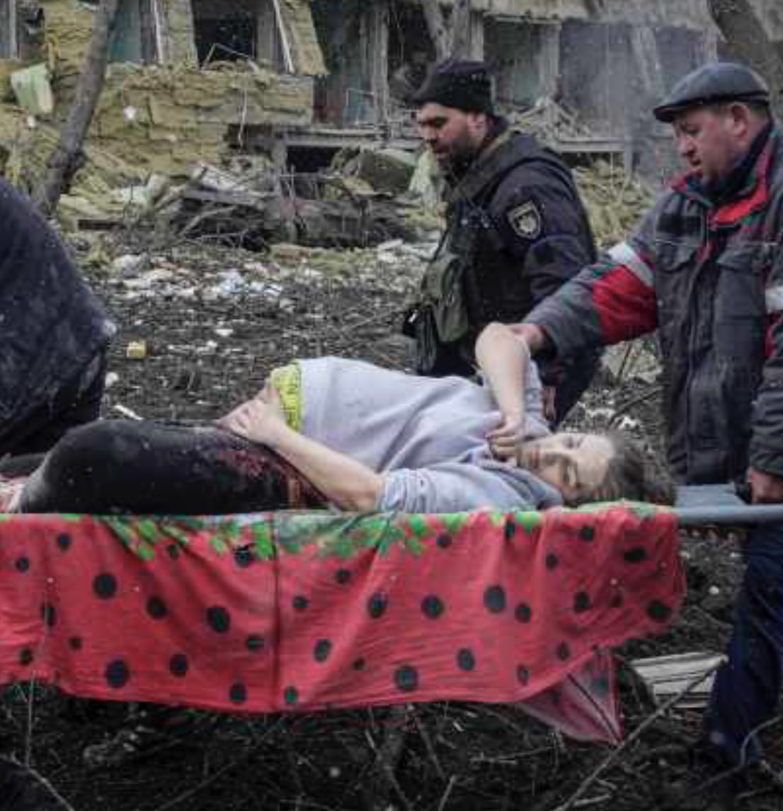 Marie Mérouze 🇺🇦 tweet media