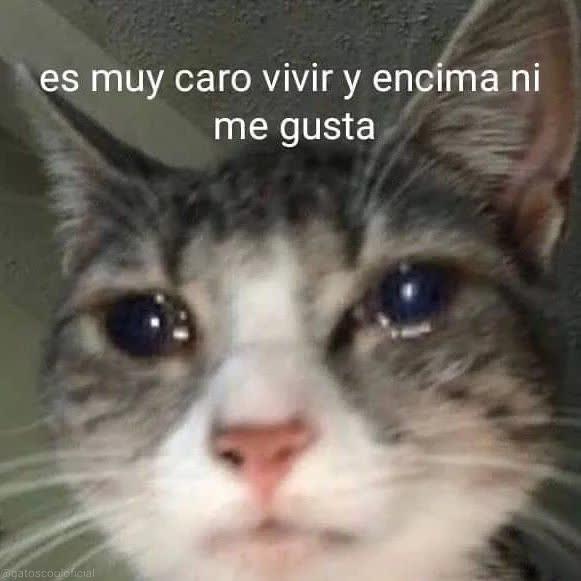 piña sin pizza (@skereunpesado) on Twitter photo 