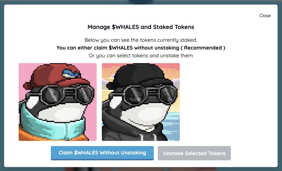 My whales @DeepBlueschip 💙