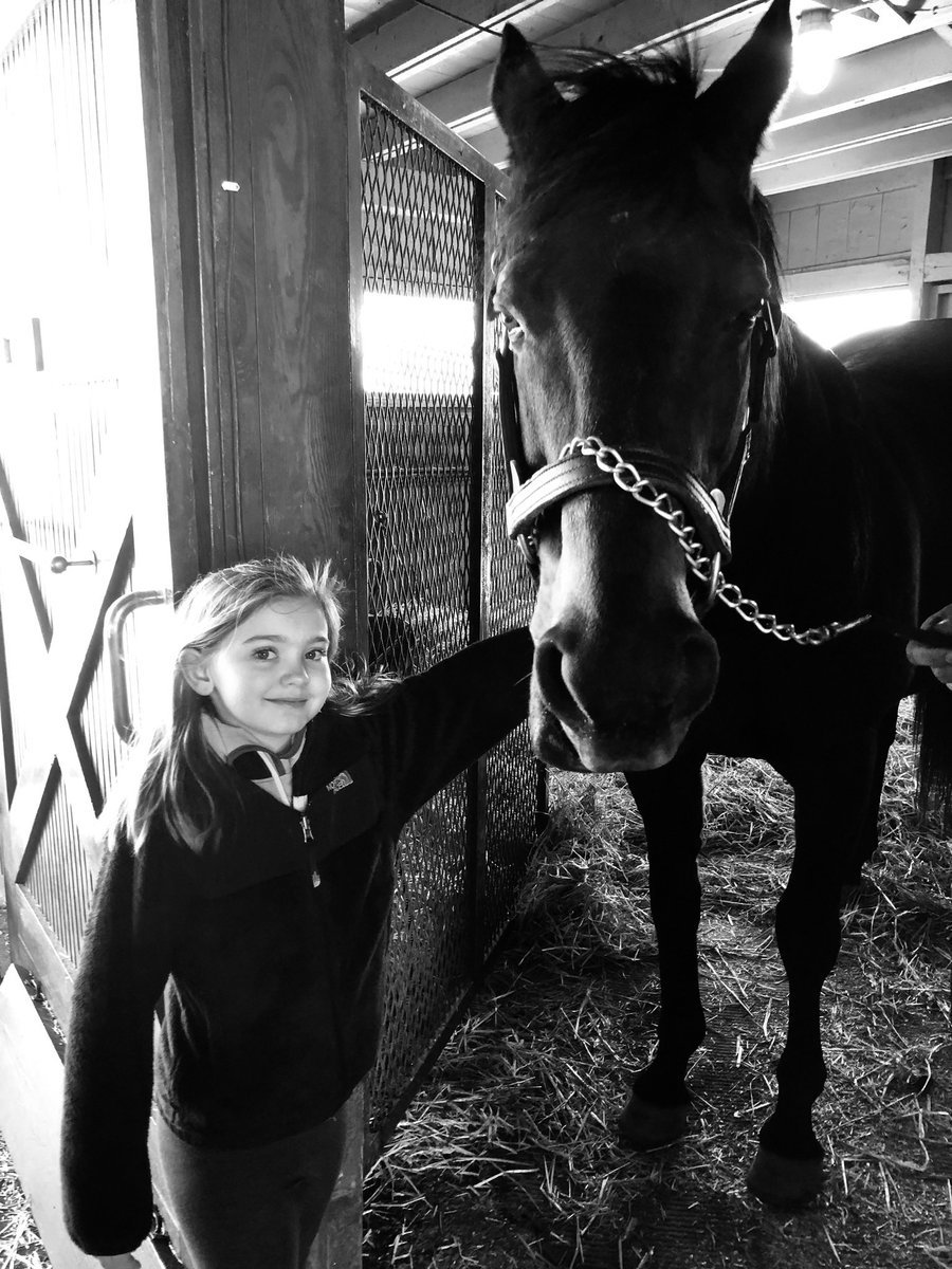 cmhjasondavis's tweet photo. @kaitlinefree @fourfurlongs This is the horse that got me into the sport. I am so very grateful to have introduced my daughter to him. #goforgin @KyHorsePark https://t.co/z5M1eugCcE