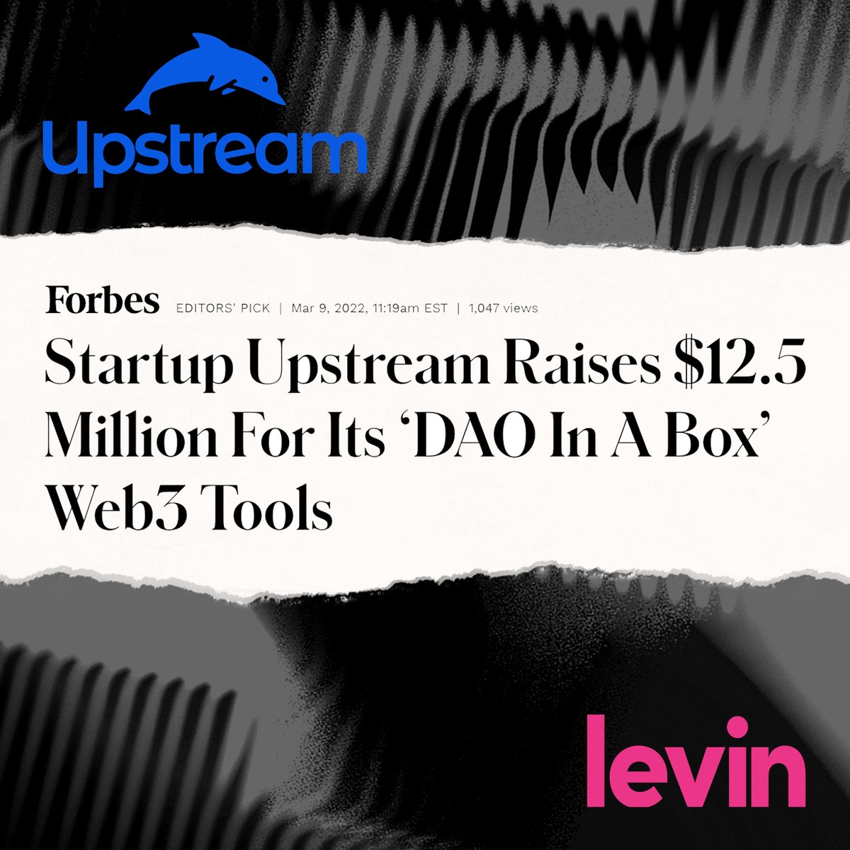 LawByLevin's tweet photo. We always knew our clients are amazing; now @Boldstartvc, Ibex, @garyvee, Tiger Global, @fenbushi, &amp; more know it too!

https://t.co/915Bb8vL1N https://t.co/Id75J5kbox