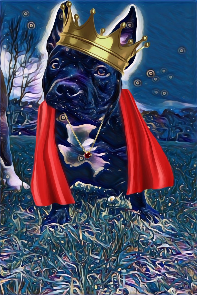 KryptoKidNZ's tweet photo. @_NFTsPromoter @cybotz_nft Hello, im ELi im 9 from New Zealand, this is my dog Mamba.
https://t.co/cHuxNXnYbw https://t.co/wmvFKrOPCP