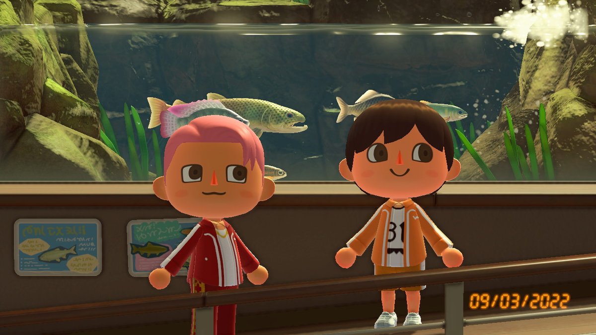 ACEpiphany's tweet photo. Happy birthday Yoongi! @AcDionysus #BTS #Jin #Suga #HappyBirthdaySuga #AnimalCrossing #ACNH #NintendoSwitch https://t.co/3sdhZzQCe2