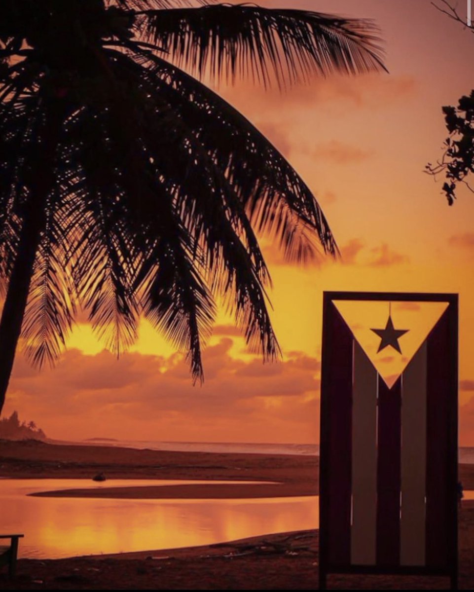 Discover Puerto Rico tweet media