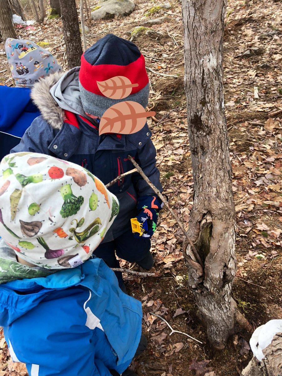 MsSinclair_Ed's tweet photo. A wonderful Wilderness Wednesday in the woods! We found a stick that looked like an antler, drew some nature drawings, measured how deep a hole was with a stick, found some interesting mushrooms and much much more! #TakeMeOutside #ForestSchool #FreshAirLearning #PlayBasedLearning https://t.co/xAuHBovzoH