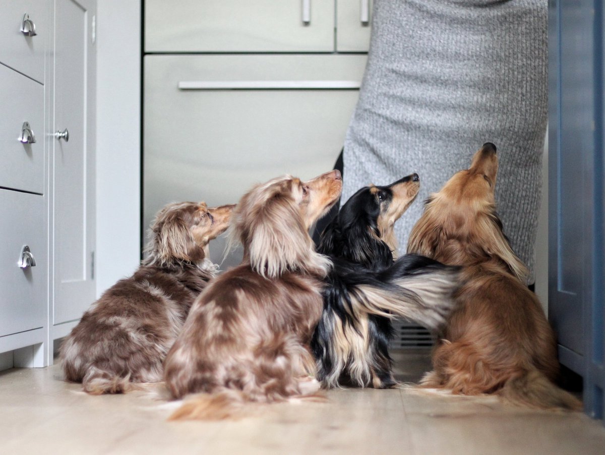 Eyes on da Prize ✨🍗...