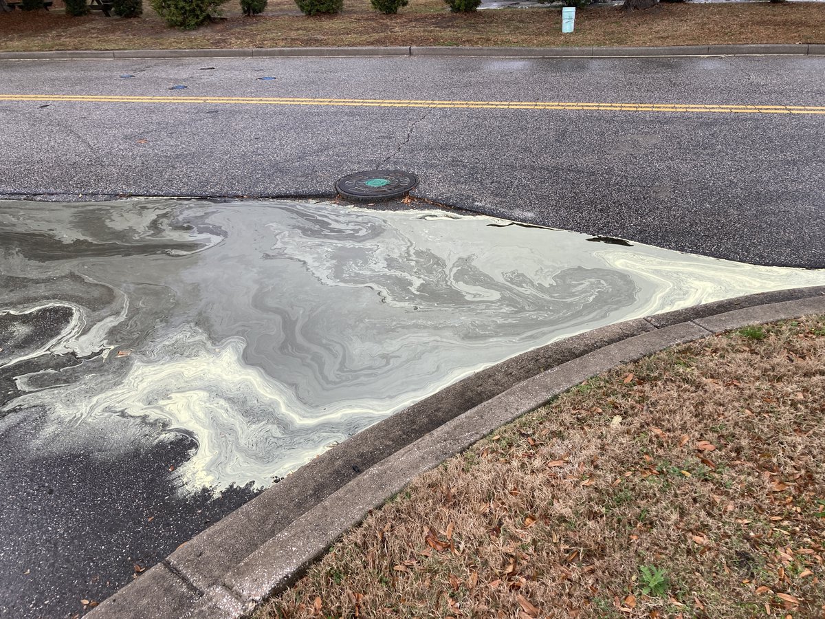 RealDatDawg's tweet image. Pollen vs rain. Yuck! @jamiearnoldWMBF