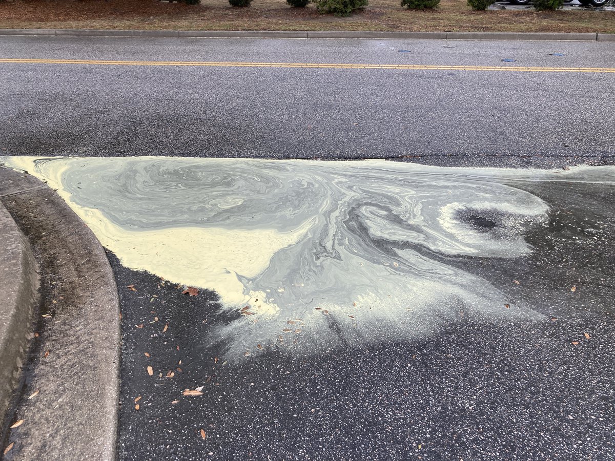 RealDatDawg's tweet image. Pollen vs rain. Yuck! @jamiearnoldWMBF