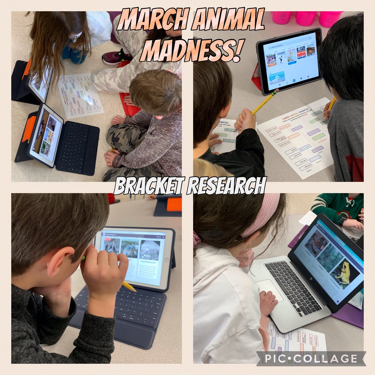 Bracketology in elementary school! 
#2022MMMletsgo #2022MMM