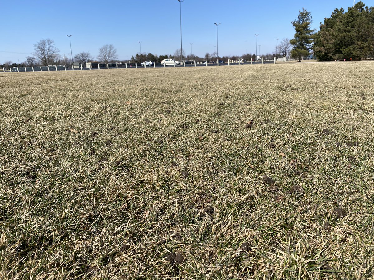 uHallgrass's tweet photo. Feels good to be out on the fields. Rolling skins and letting the turf breath. #springisclose https://t.co/OMrDBfQWh0