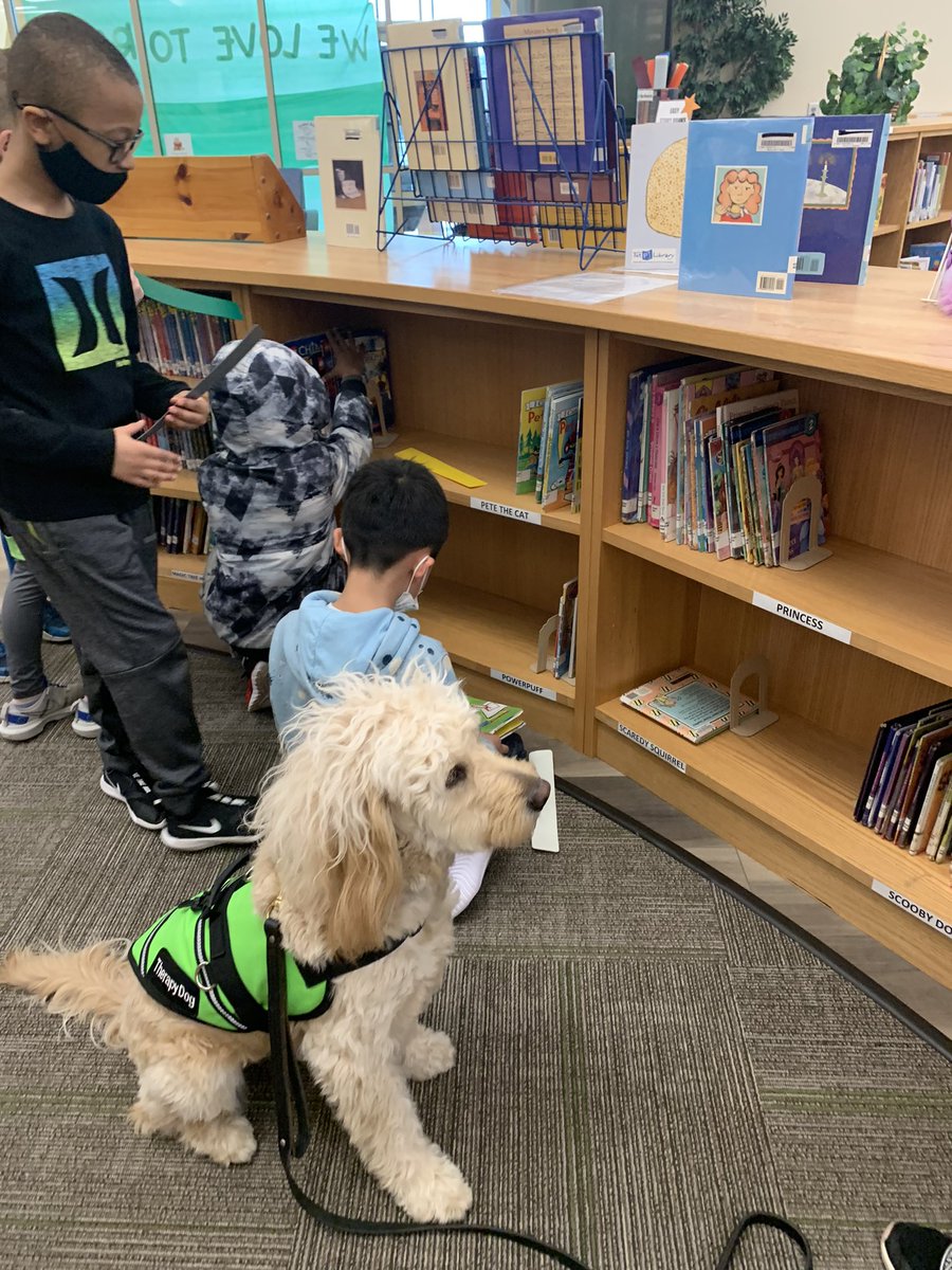 MECC_Counselor2's tweet photo. Lots of #Shinerlove in 2nd grade today! Ironically, Shiner wasn’t interested in reading a Pete the Cat book. Lol! 📚 💚 🐾 #MVP #MostValuablePups #MECCtherapydogs #DogsofMason @MrsBly_MECC @MasonSchools https://t.co/cDrHiBEGks