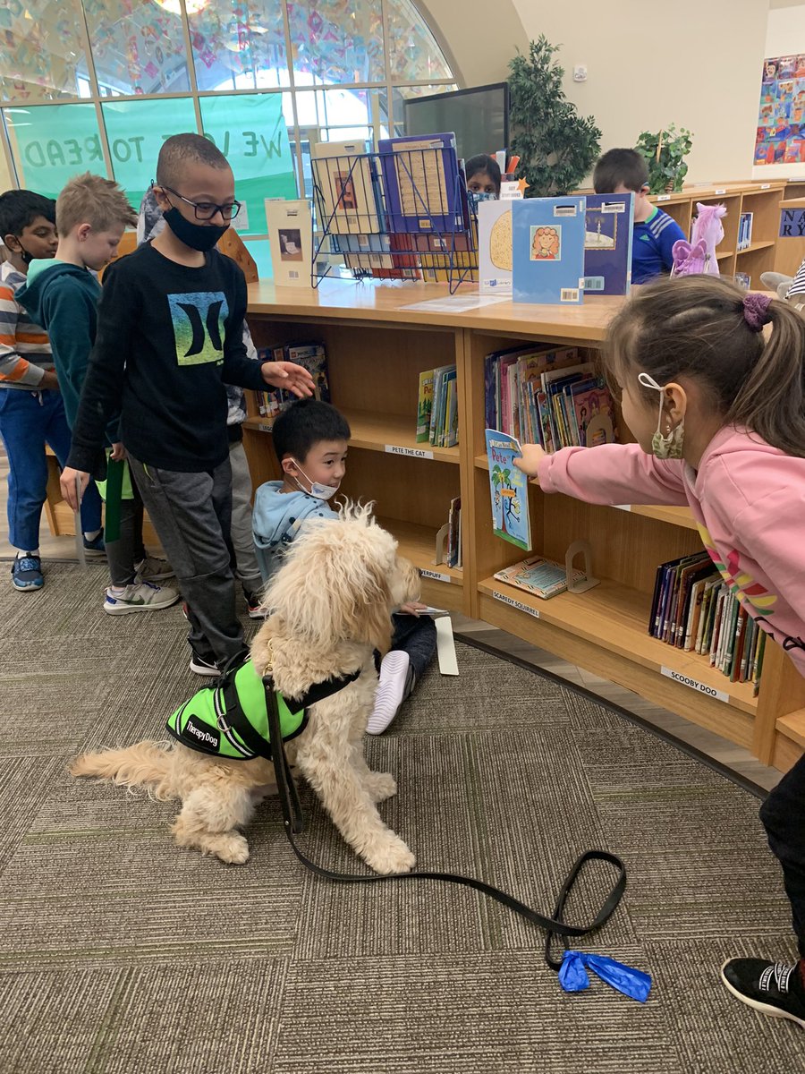 MECC_Counselor2's tweet photo. Lots of #Shinerlove in 2nd grade today! Ironically, Shiner wasn’t interested in reading a Pete the Cat book. Lol! 📚 💚 🐾 #MVP #MostValuablePups #MECCtherapydogs #DogsofMason @MrsBly_MECC @MasonSchools https://t.co/cDrHiBEGks