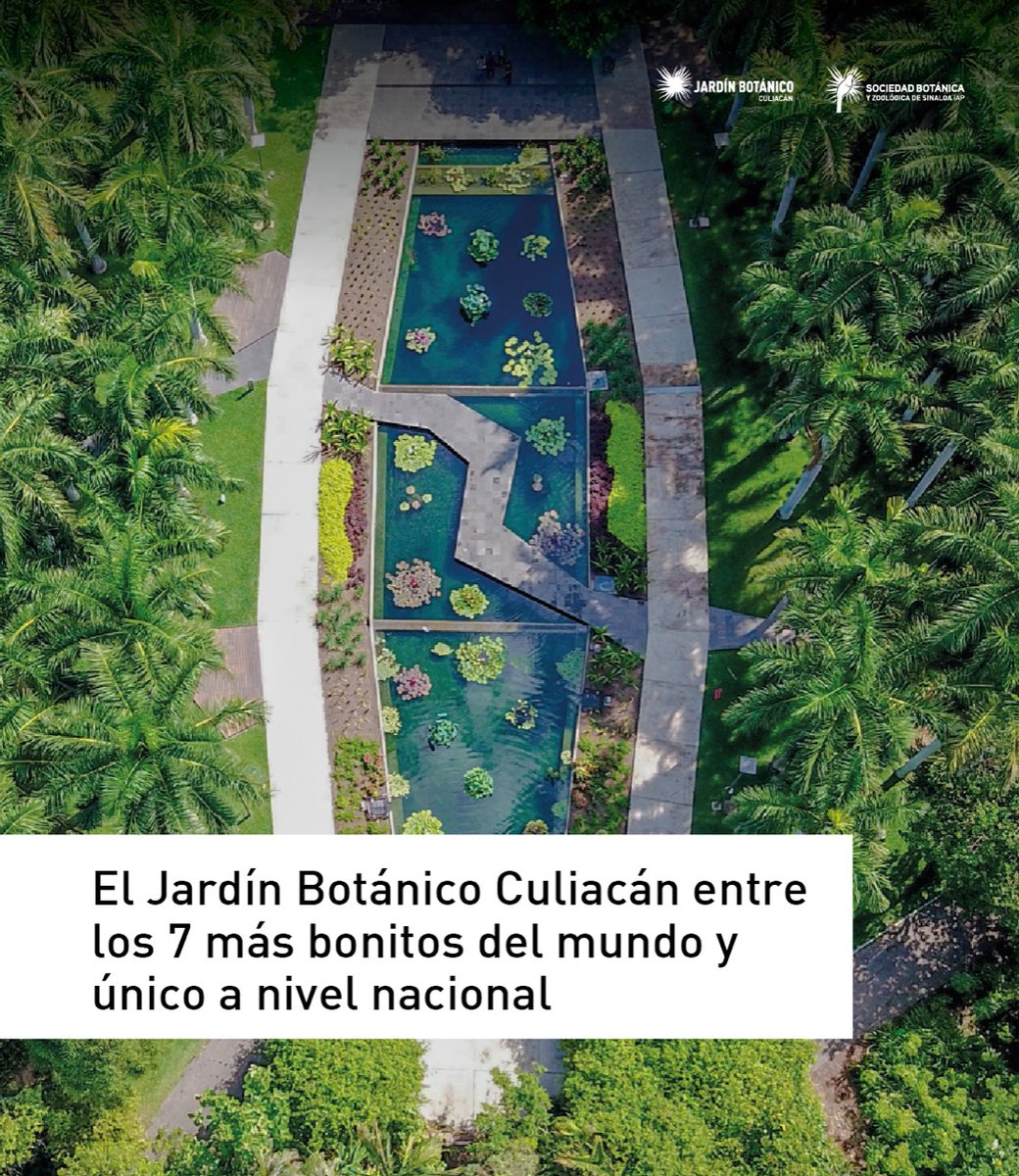 noticieristas's tweet photo. #Culiacán📍| La revista argentina "Lugares", de La Nación, eligió al Jardín Botánico Culiacán como uno de los 7 más bonitos del mundo.🌏🌳

#ObservandoEnVivo🔴| @Noticierista 
https://t.co/TAoeai2NYz https://t.co/79GfuoRmdq