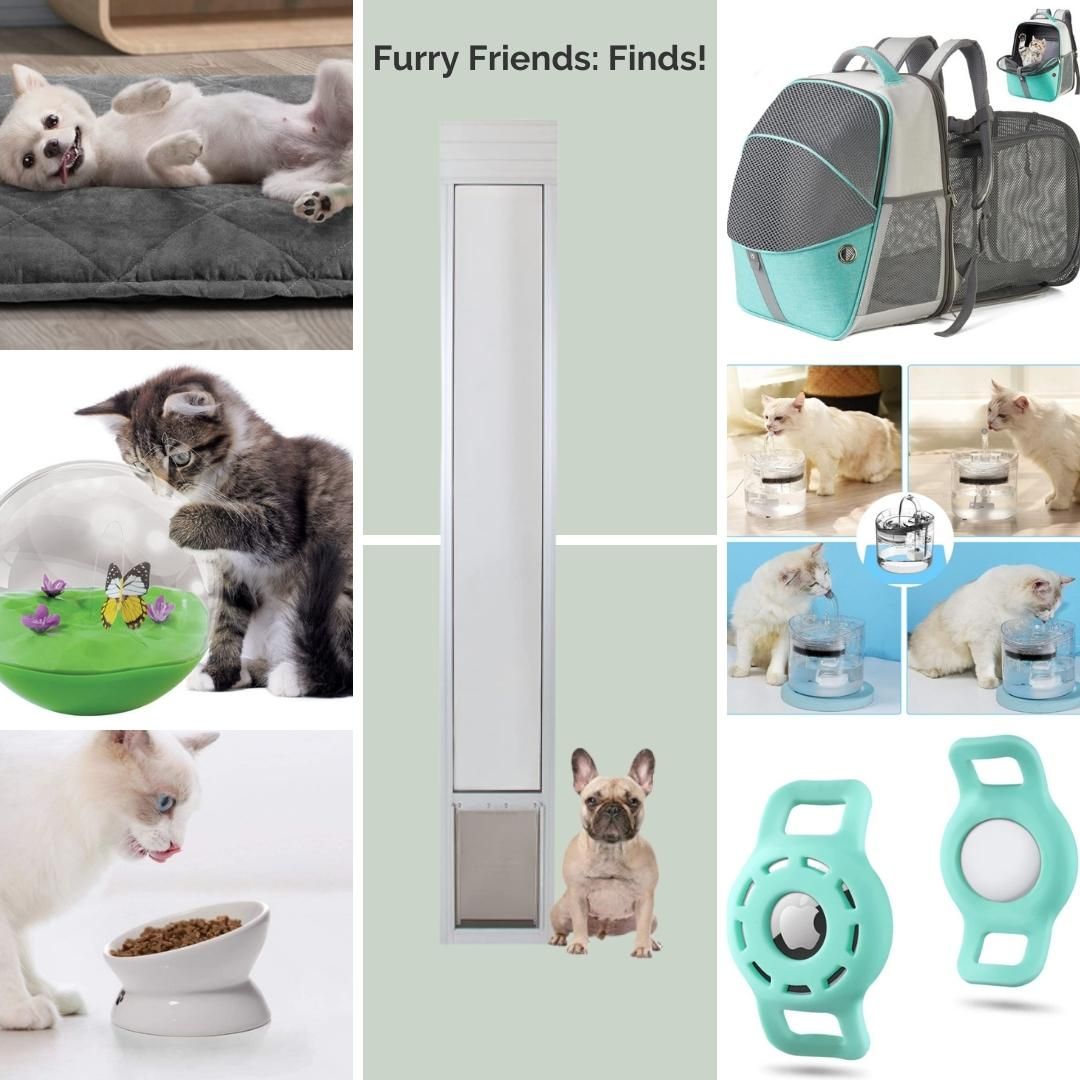 Furry Friends: Finds! 😻 - mailchi.mp/designingagood…